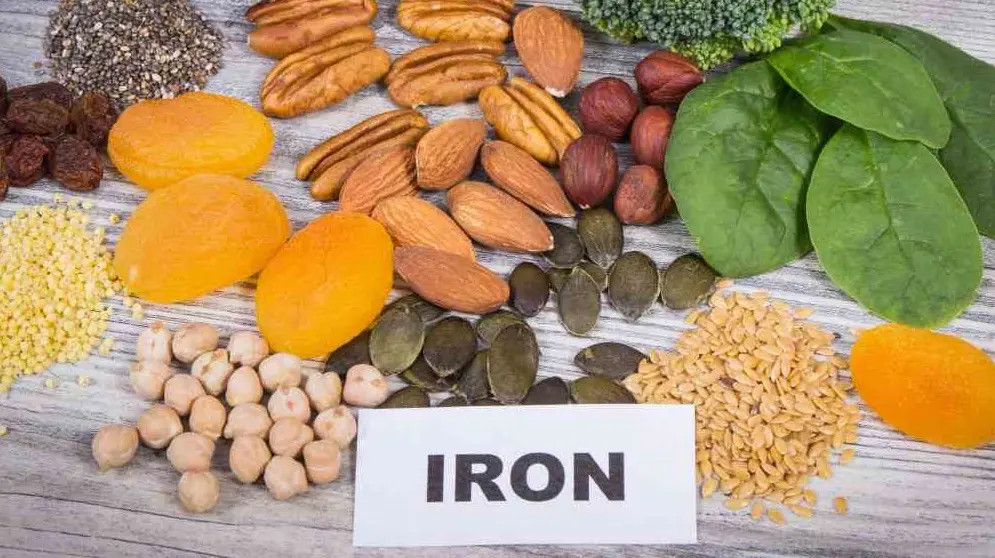 Minerał Żelazo (Fe), działanie, niedobór, leczenie - działanie, zastosowanie, objawy, dieta - ZdrowiePremium.pl - Wszystko o zdrowiu, naturalne suplementy diety, zioła, doradztwo, porady, preparaty.