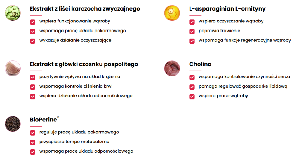 Lipid Control Plus, cholesterol, obniżenie poziomu cholesterolu LDL, podniesienie poziomu cholesterolu HDL, wsparcie zdrowia serca, ochrona naczyń krwionośnych, karczoch, liść oliwki europejskiej, monakolina K z czerwonego ryżu, berberyna, koenzym Q10, nasiona lnu