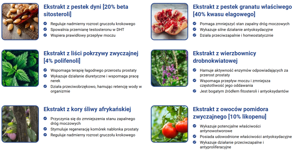 Prostan Plus - prostata, łagodzenie objawów prostaty, wsparcie układu moczowego, ochrona przed dalszym przerostem, poprawa jakości życia, palma sabałowa, pestki z dyni, likopen, witamina e, selen, cynk