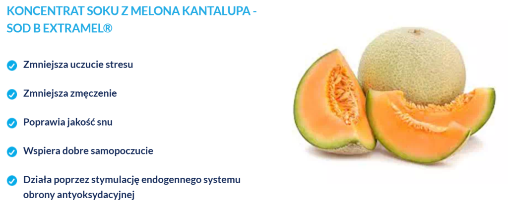 Restilen - na stres, niepokój, redukcja stresu i napięcia, poprawa nastroju, wsparcie układu nerwowego, zwiększenie odporności na stres, wspomaganie snu, ashwaganda, melisa, różeń górski, szafran, witaminy grupy b, magnes
