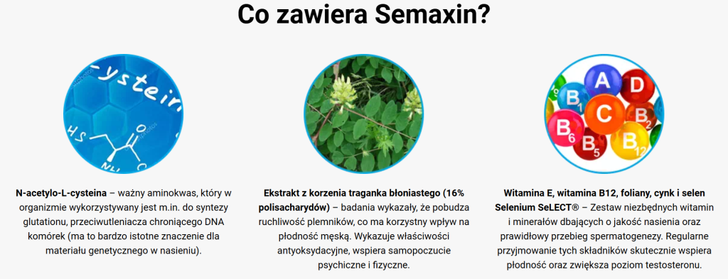 Semaxin - potencja, wzrost poziomu testosteronu, poprawa jakości nasienia, wsparcie funkcji układu rozrodczego, zwiększenie energii i witalności, buzdynek naziemny, korzeń maca, żeń-szeń, szafran, l-arginina, witamina e