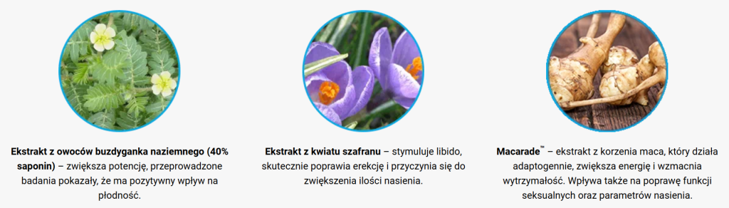 Semaxin - potencja, wzrost poziomu testosteronu, poprawa jakości nasienia, wsparcie funkcji układu rozrodczego, zwiększenie energii i witalności, buzdynek naziemny, korzeń maca, żeń-szeń, szafran, l-arginina, witamina e