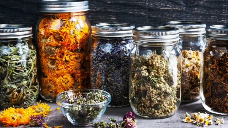 zioła moczopędne, właściwości, działanie, niedobór, leczenie - działanie, zastosowanie, objawy, dieta - ZdrowiePremium.pl - Wszystko o zdrowiu, naturalne suplementy diety, zioła, doradztwo, porady, preparaty.