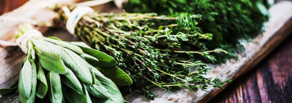 zioła na obrzęki i siniaki, właściwości, działanie, niedobór, leczenie - działanie, zastosowanie, objawy, dieta - ZdrowiePremium.pl - Wszystko o zdrowiu, naturalne suplementy diety, zioła, doradztwo, porady, preparaty.